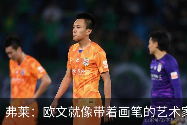 弗莱：欧文就像带着画笔的艺术家 他的进攻动作衔接就像画画一样